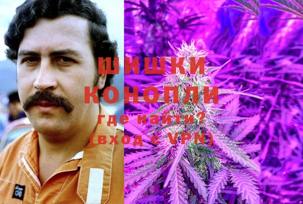 альфа пвп Заводоуковск