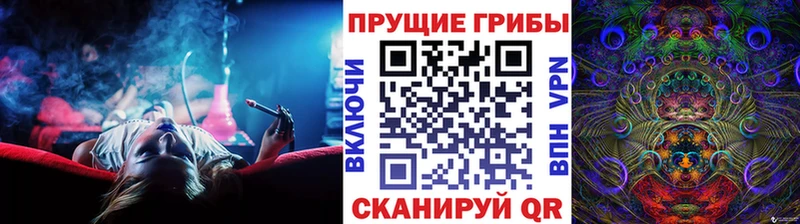 как найти закладки  Бирюсинск  Галлюциногенные грибы Magic Shrooms 